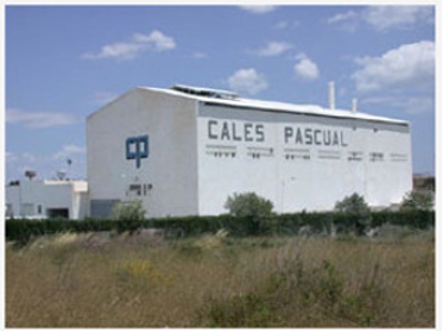 Images Cales Pascual