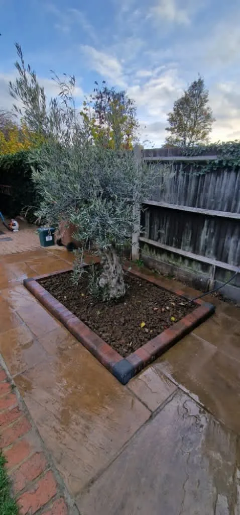 Images Luff Landscaping Ltd