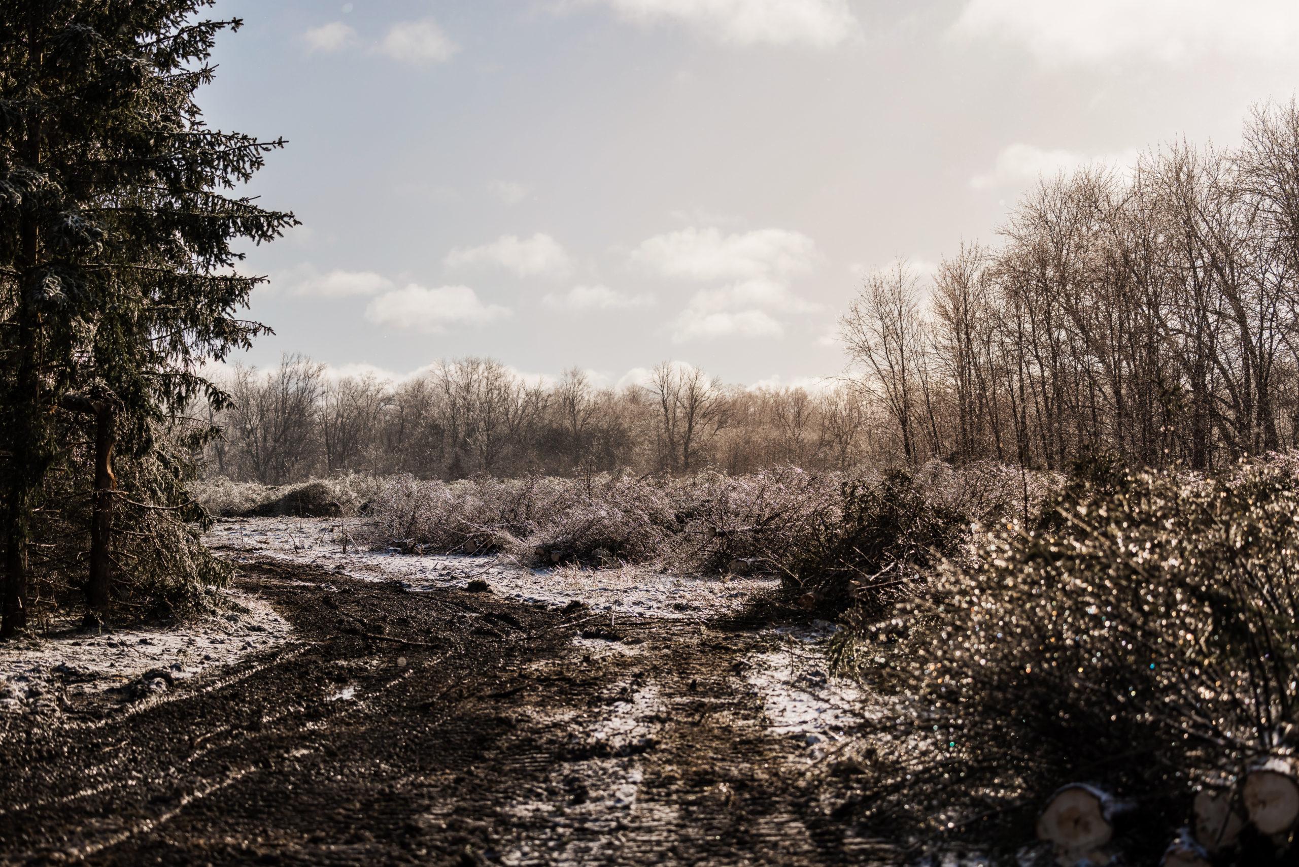 Images Southwestern Brush Control Limited