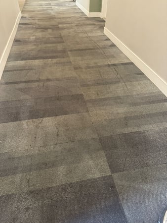 Images Premier Steam Cleaning
