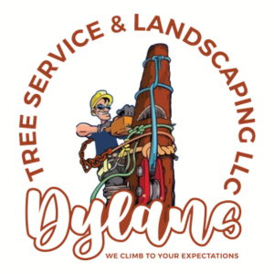 Dylan's Tree Service and Landscaping LLC