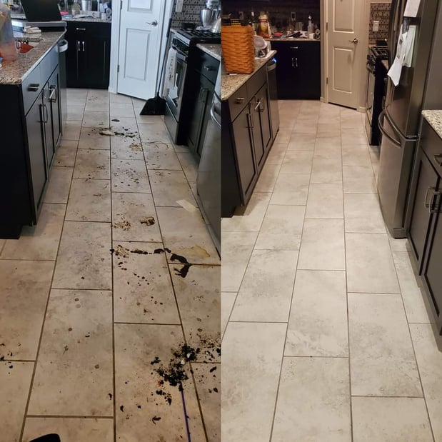 Images Steamco Carpet Care