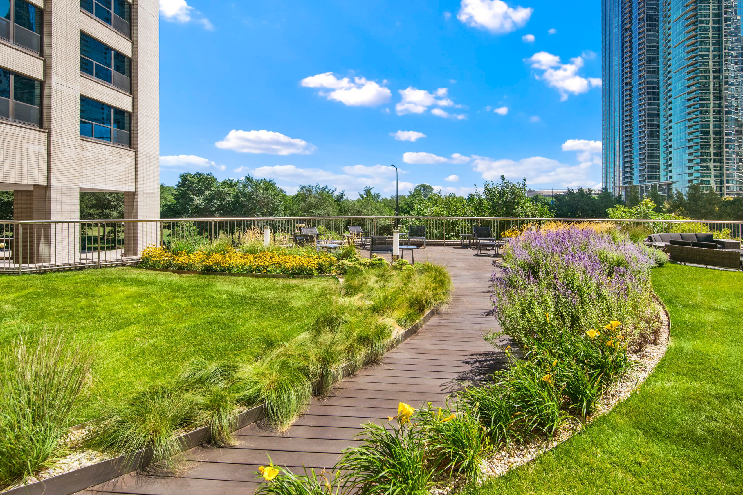 Rooftop garden with curved walkway and landscaping 