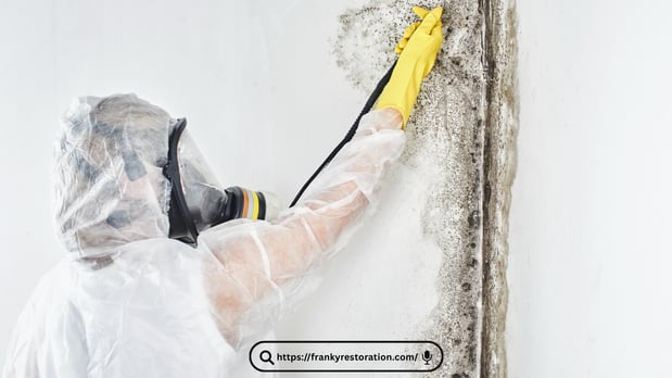 Images Mold Remediation Miami Lakes