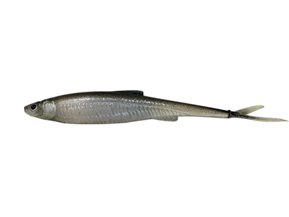 Images KP Fishing Oy