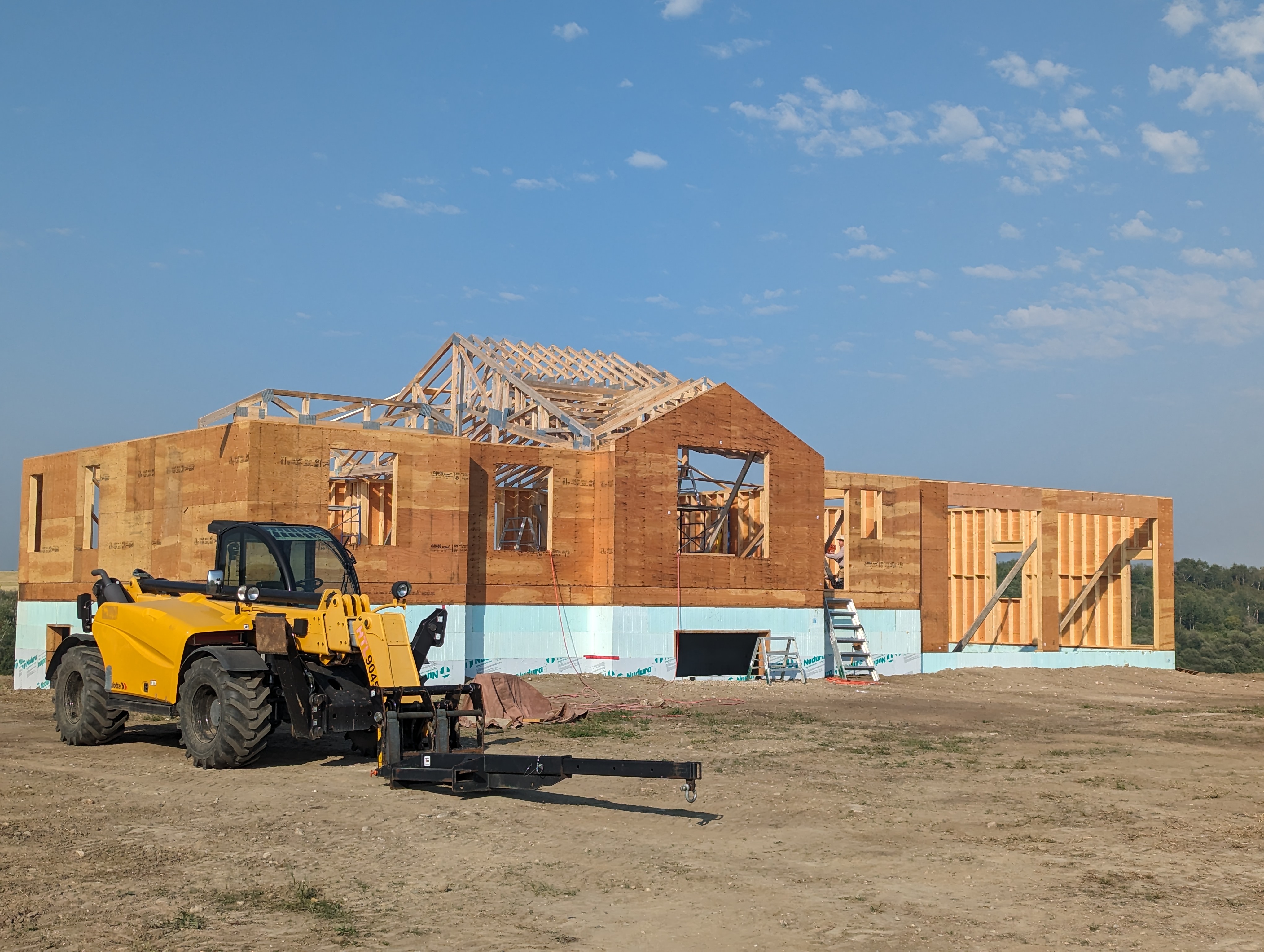 Images The Blue Spruce Builder