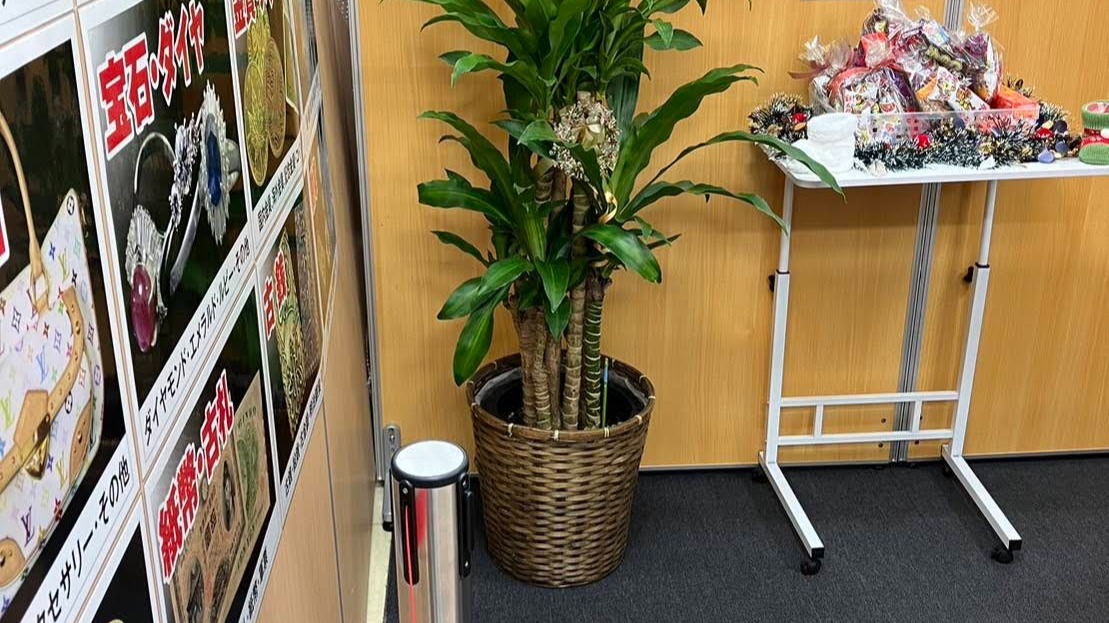 Images 買取専門店 おたからや MEGAドン・キホーテUNY大口店