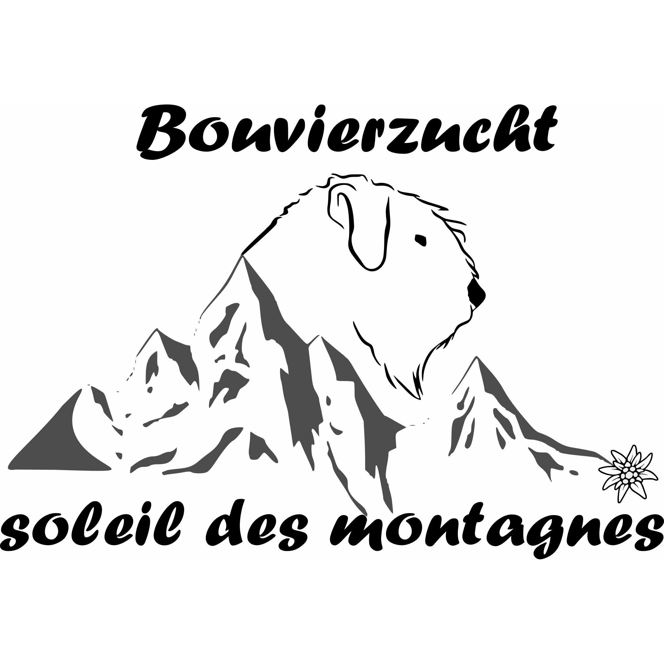 Bouvierzucht soleil des montagnes in Bergisch Gladbach - Logo