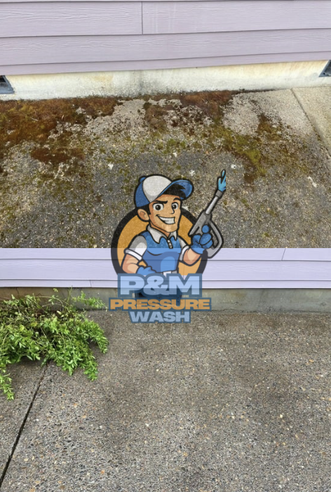 Images P&M Pressure Wash - Window & Gutter Cleaning