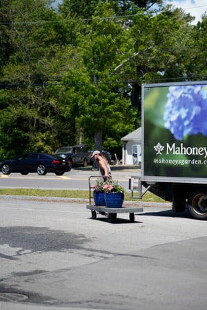 Images Mahoney's Garden Center