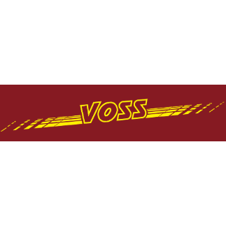 Holsten-Express Horst Voss Omnibusbetriebe GmbH in Itzehoe - Logo