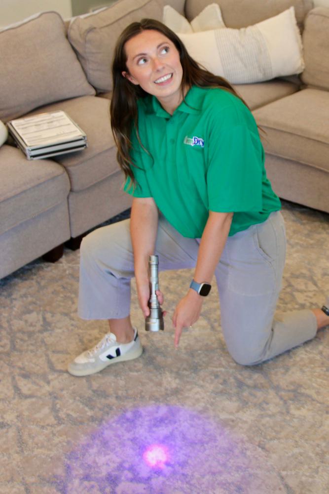 chem-dry technician inspecting carpet for pet urine