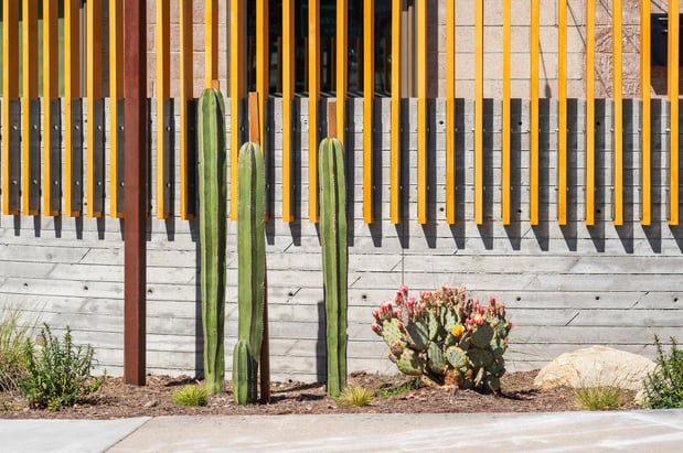 Images Partake Collective - Glassell Park