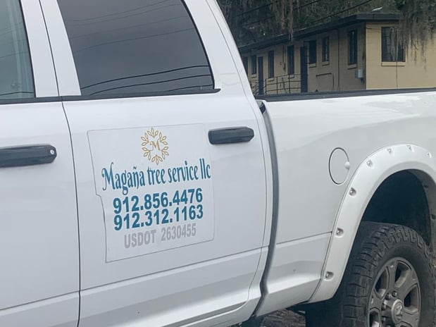 Images Magana Tree Service