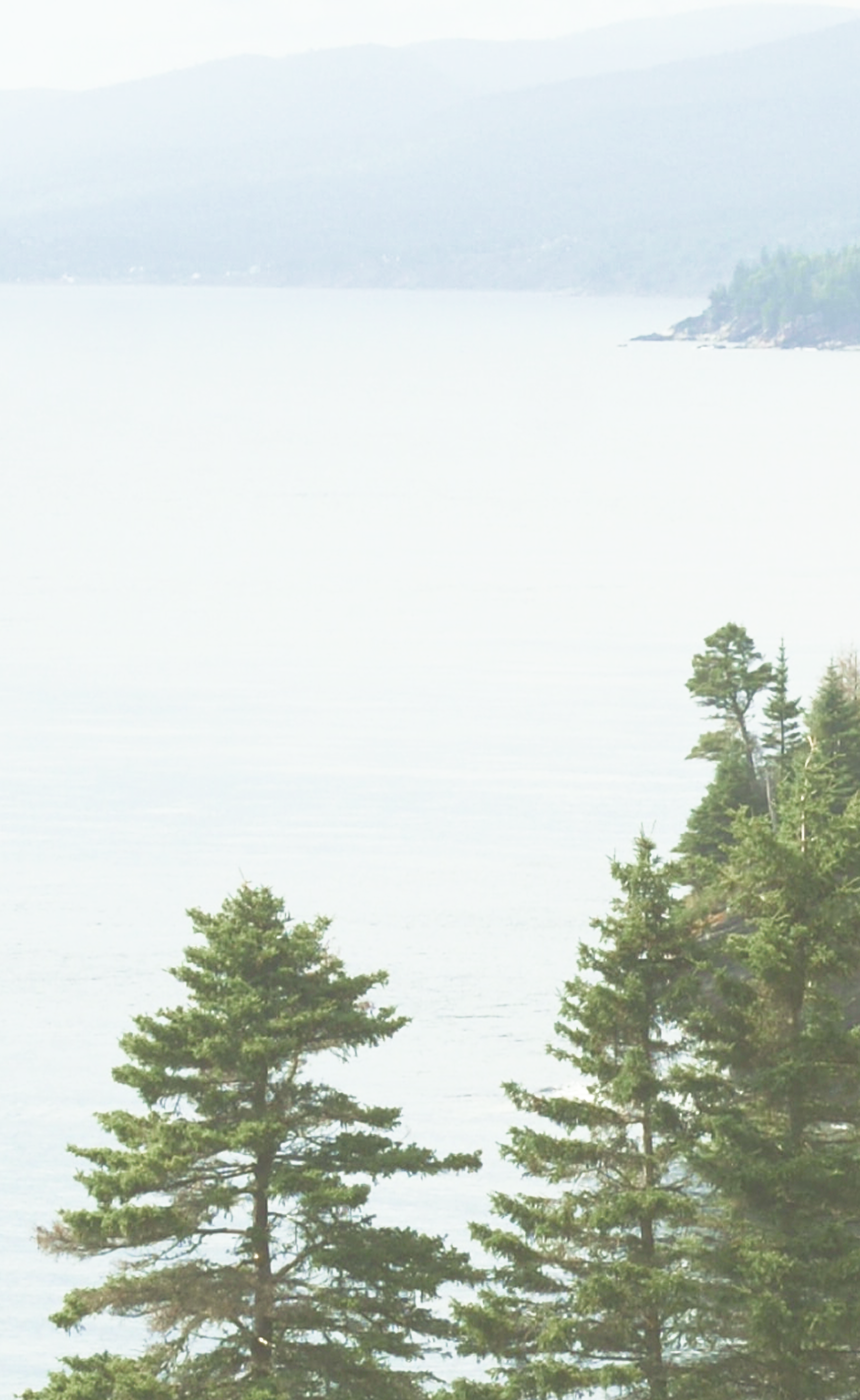 Picturesque lake surrounded by rolling hills and evergreen trees.