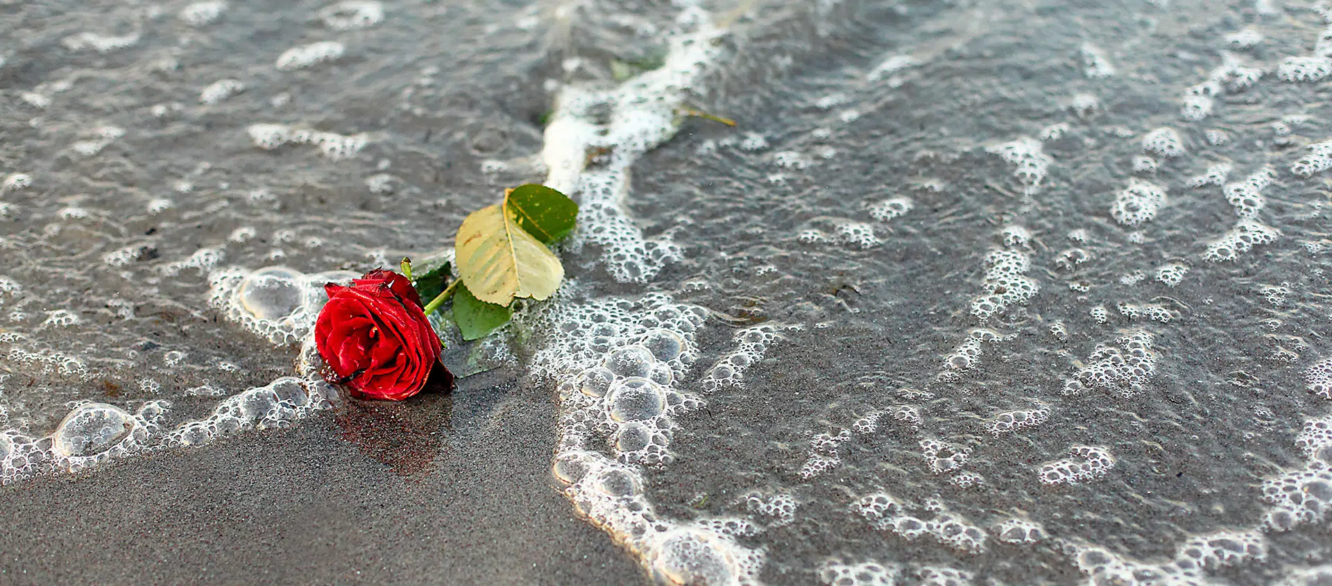 Bilder Schulte Bestattungen