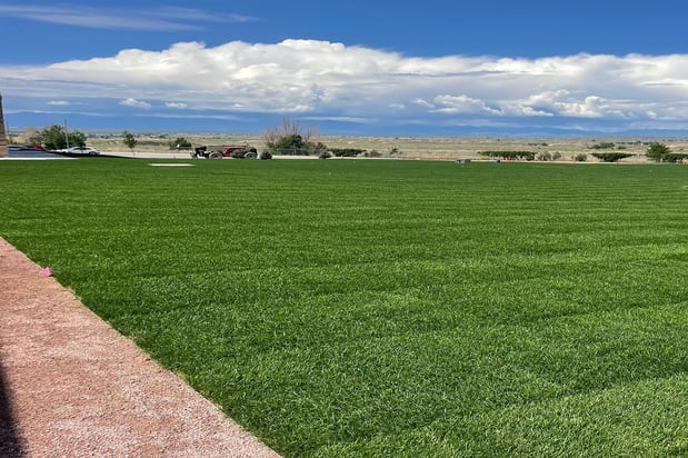 Images Schubert's Sod Depot
