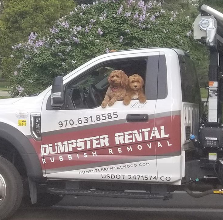 Dumpster Rental Photo