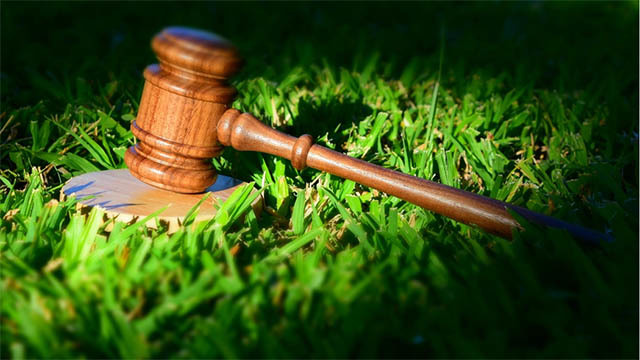 Images Högtofta Miljökonsult AB