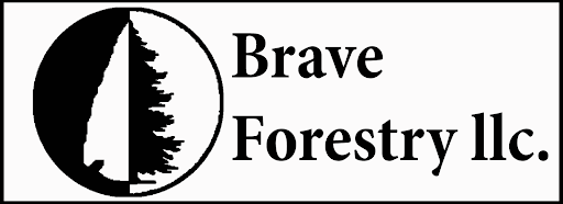 Images Brave Forestry LLC