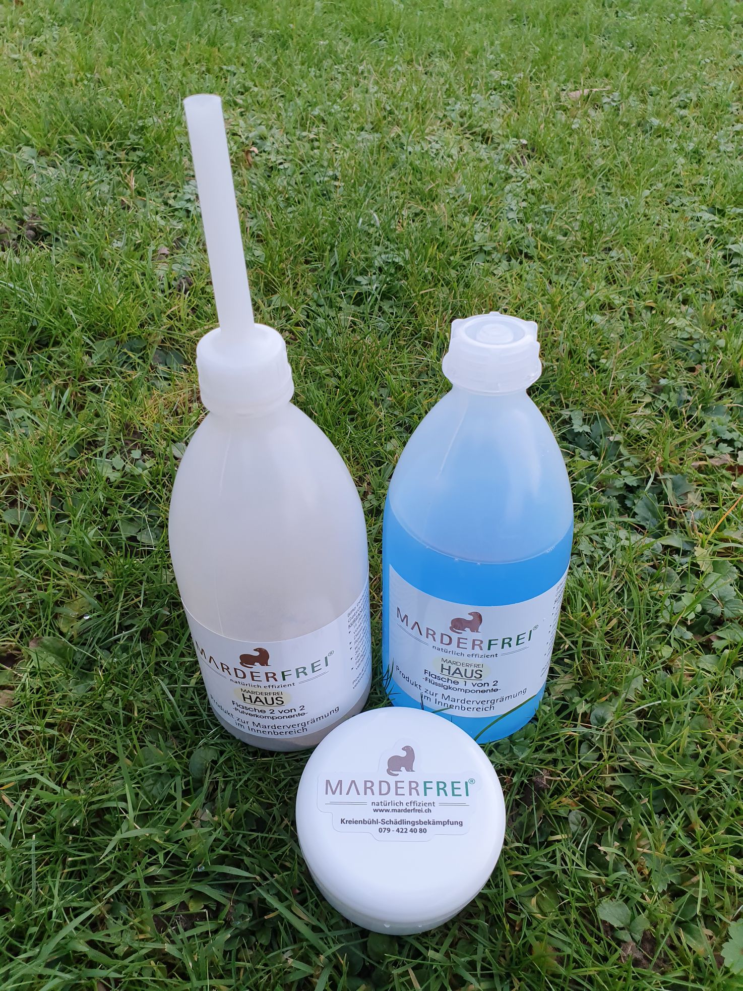 Bilder Kreienbühl - Schädlingsbekämpfung
