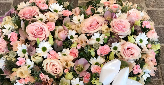 Bilder Lägere Blueme GmbH