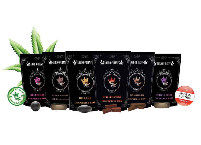 Lord of Hanf e. U., Kramergasse 3/15 in Wien