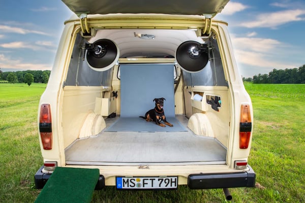 Fotogebell Hundefotografie - Carsten Pöhler Hund sitzt im mobilen Fotostudio mit professioneller Beleuchtung, mobile Hundefotografie Münster mit natürlichem Licht und flexiblem Einsatz vor Ort.