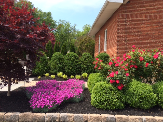 Let our staff at D’Imperio Brothers Landscaping, Inc. protect your investment and conduct the necessary repairs.