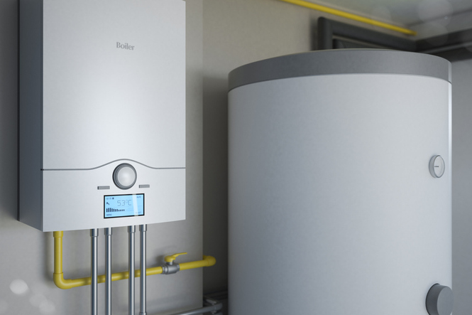 Bild 2 von Maznikolli OG