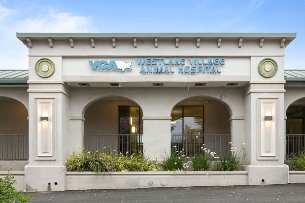 Images VCA Westlake Village Animal Hospital