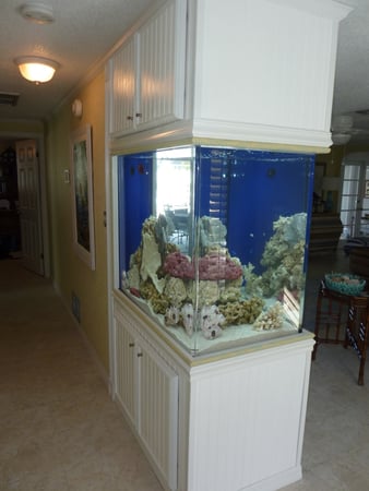 Images Sea Clear Reefs and Aquariums LLC