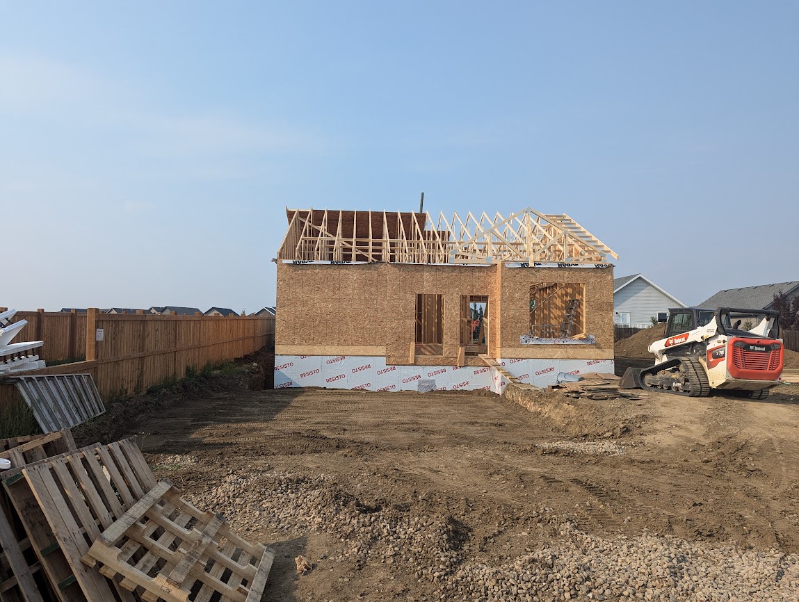 Images The Blue Spruce Builder