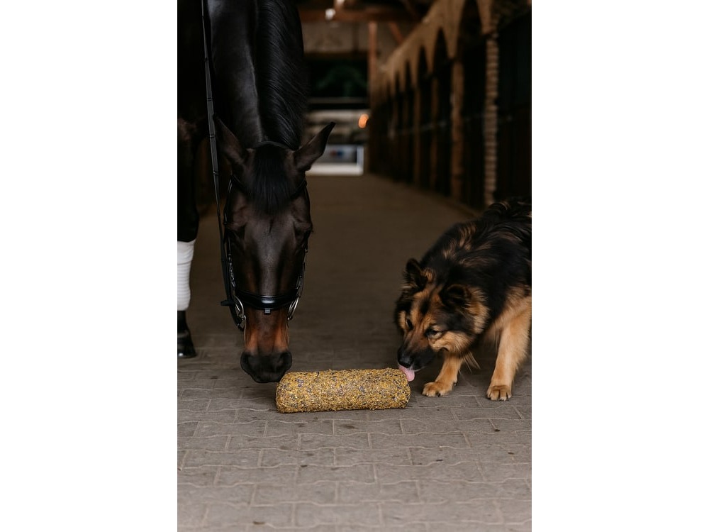 Knabberholz Manufaktur UG, Gröndelle 16 in Velbert