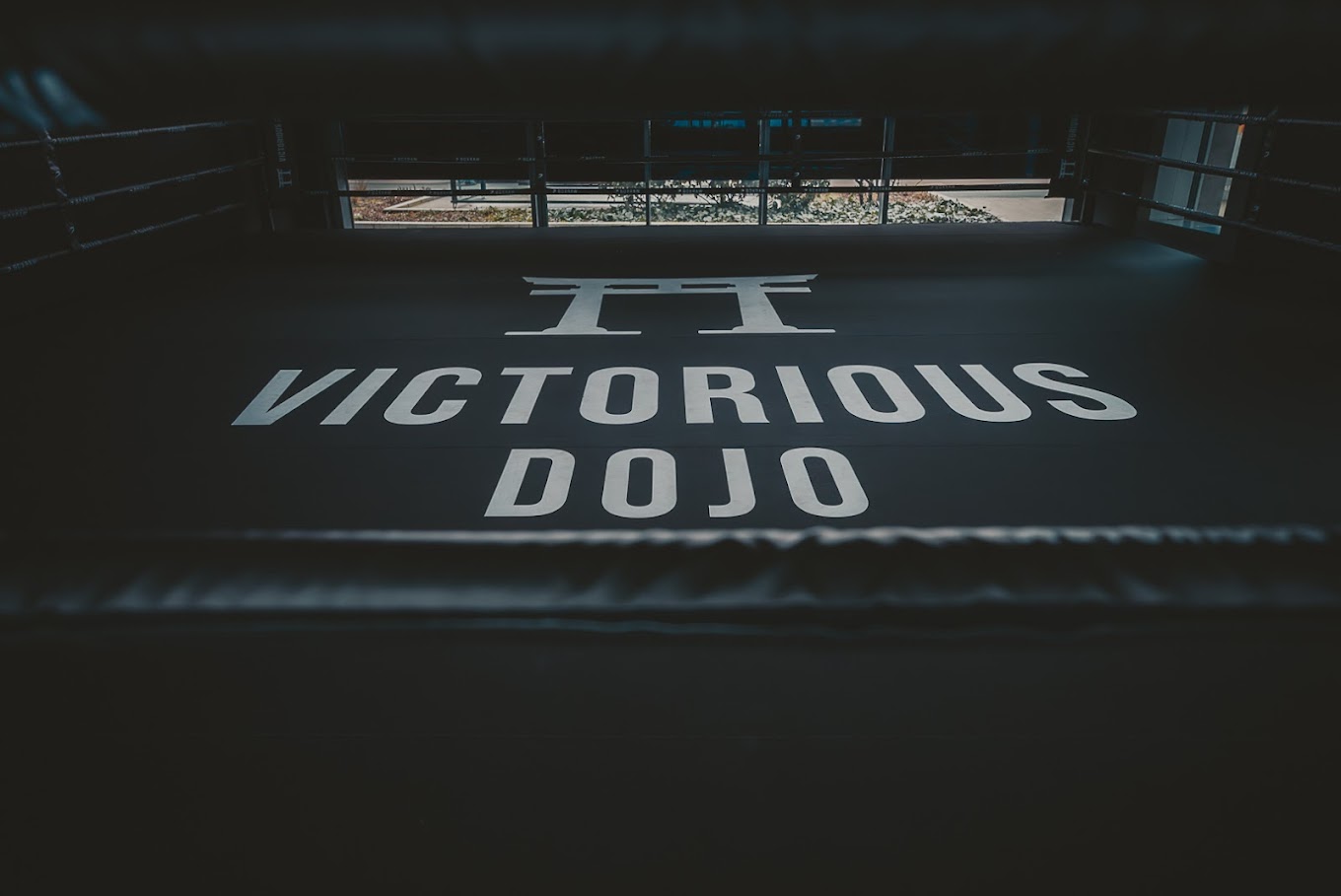 Bilder Victorious Dojo