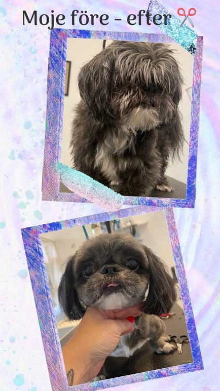 Images 4 Tassarnas Trim AB