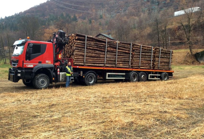 Images Le Bois  S.a.s . di Jacquemod S.& C.