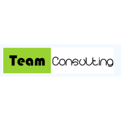 Team Consulting Logo