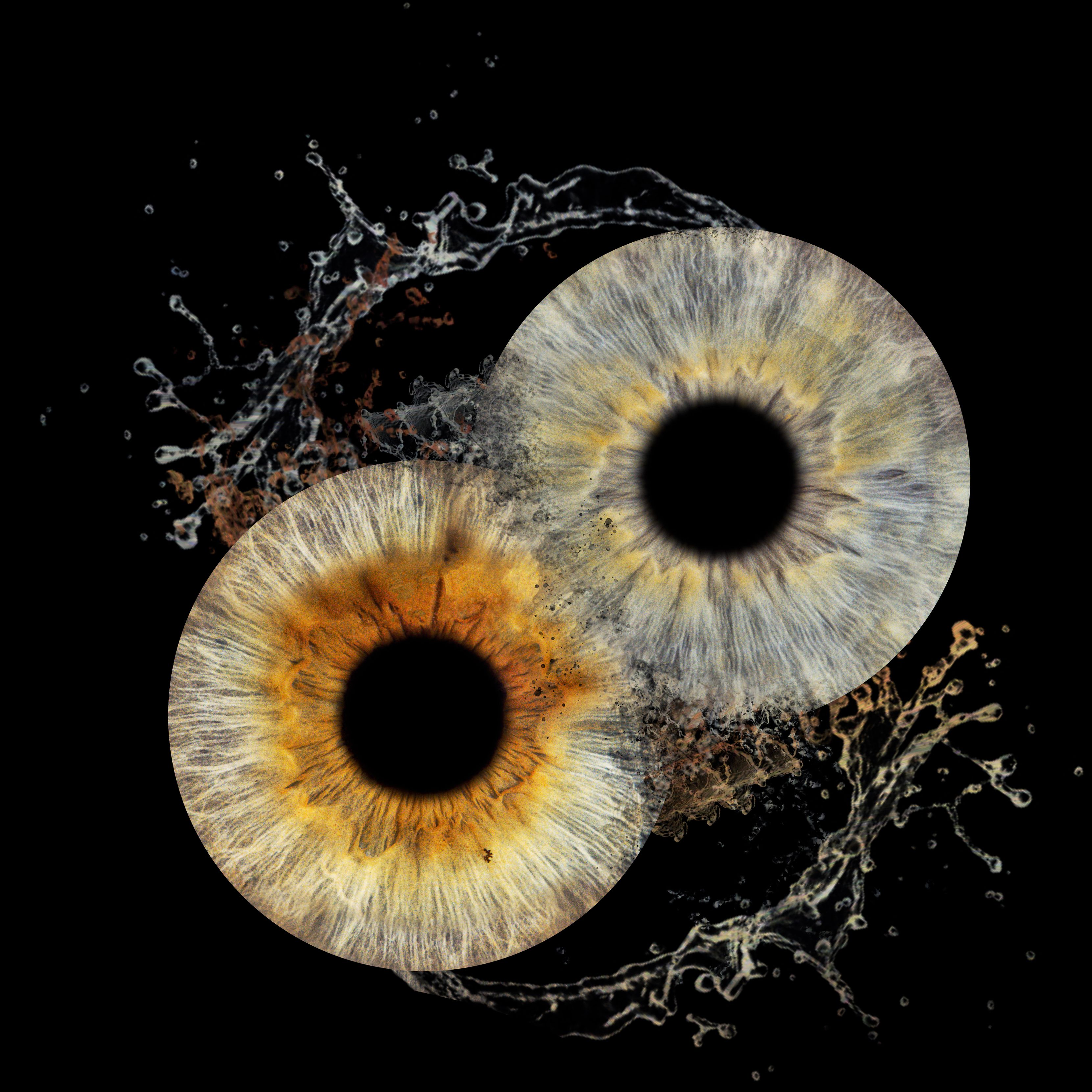 Bilder You & Eye Photo Montreux