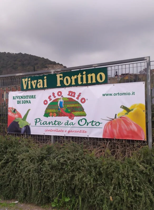 Images Azienda agricola vivaistica Gaetano Fortino - Vivai e Piante