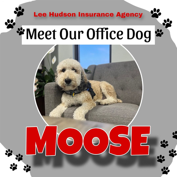 Images Lee Hudson - State Farm Insurance Agent