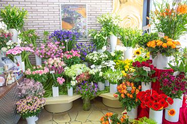 Blumenhaus Harbaum e.K. Inh. Gregor Harbaum, Himmelreichallee 45 in Münster