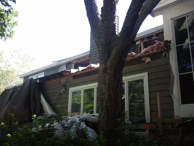Images Charleston Termite Repair Specialists