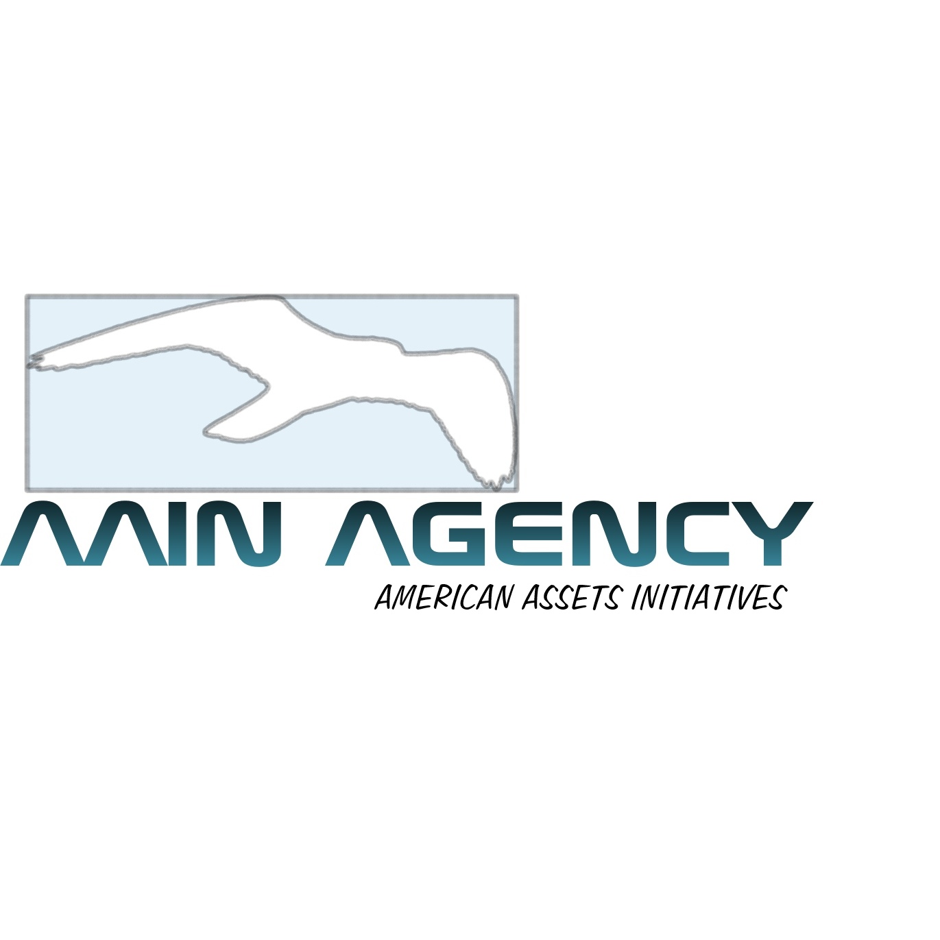 AAIN Agency