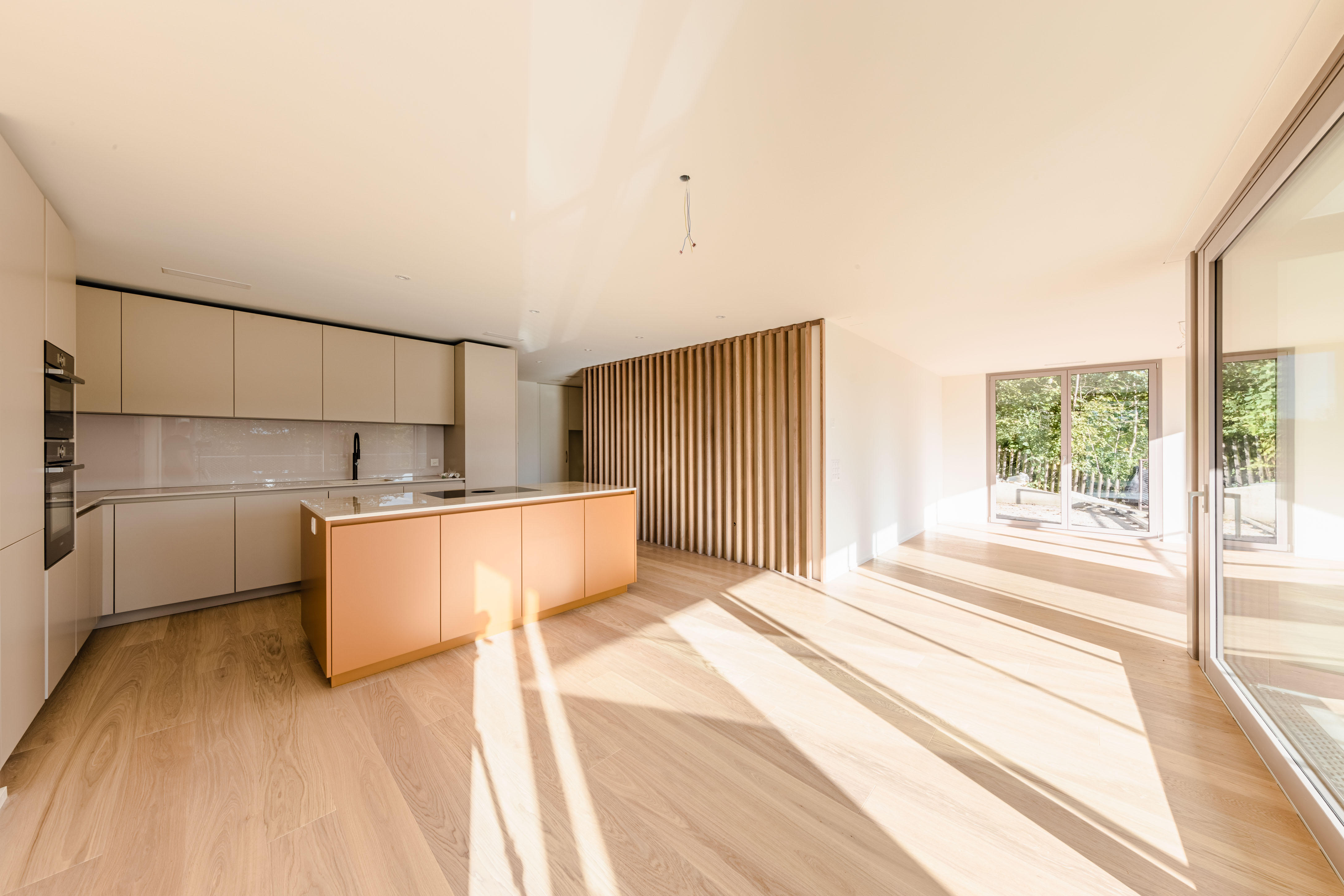 Work-Solutions GmbH, Moospark 1 in Rickenbach