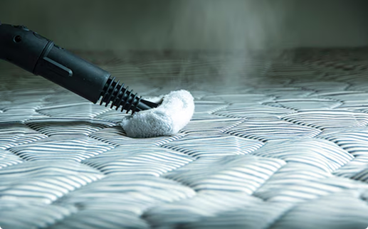 Bilder Lang Hauswartung