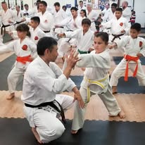The Woodlands Shotokan Karate Image