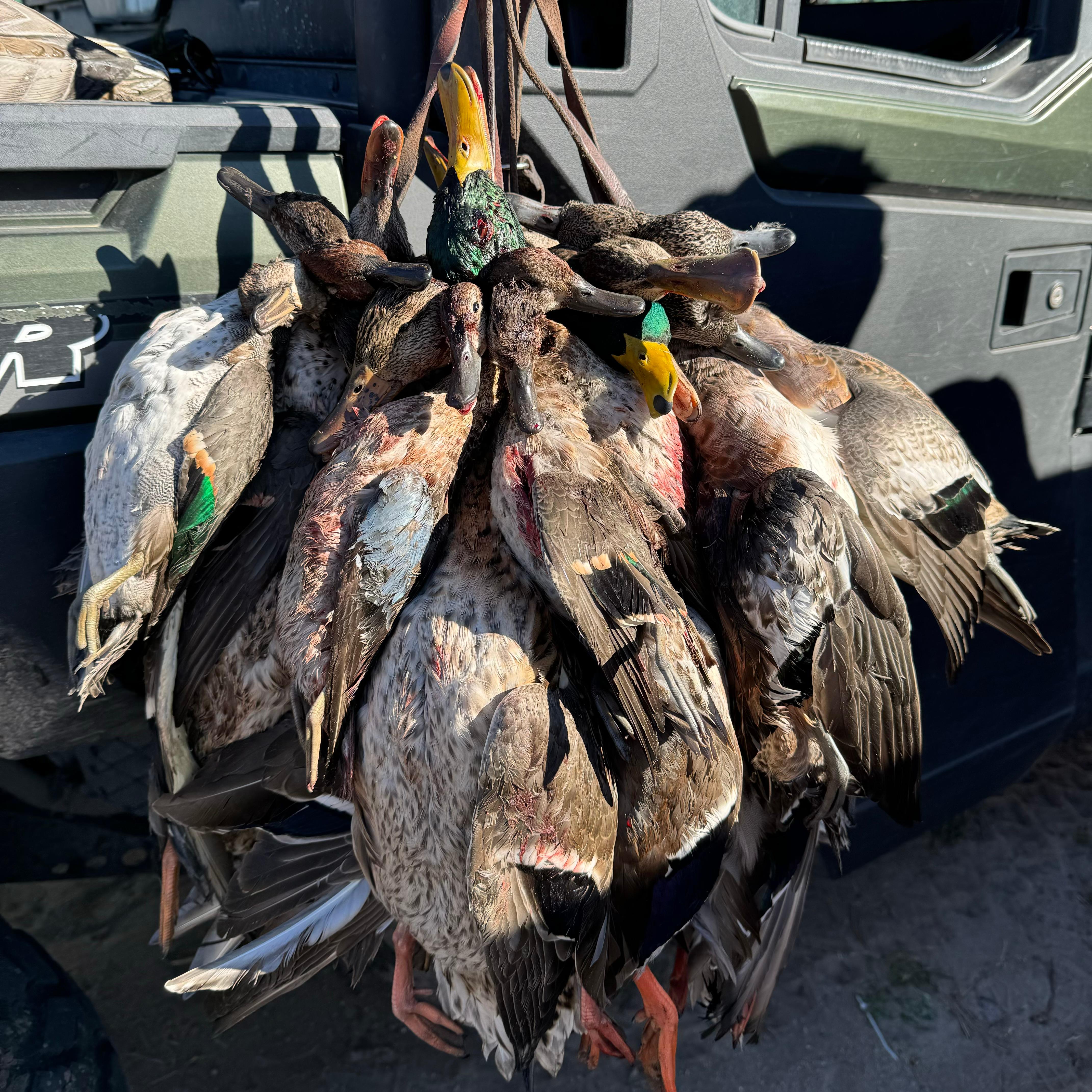 Mossy Pond Lodge Image