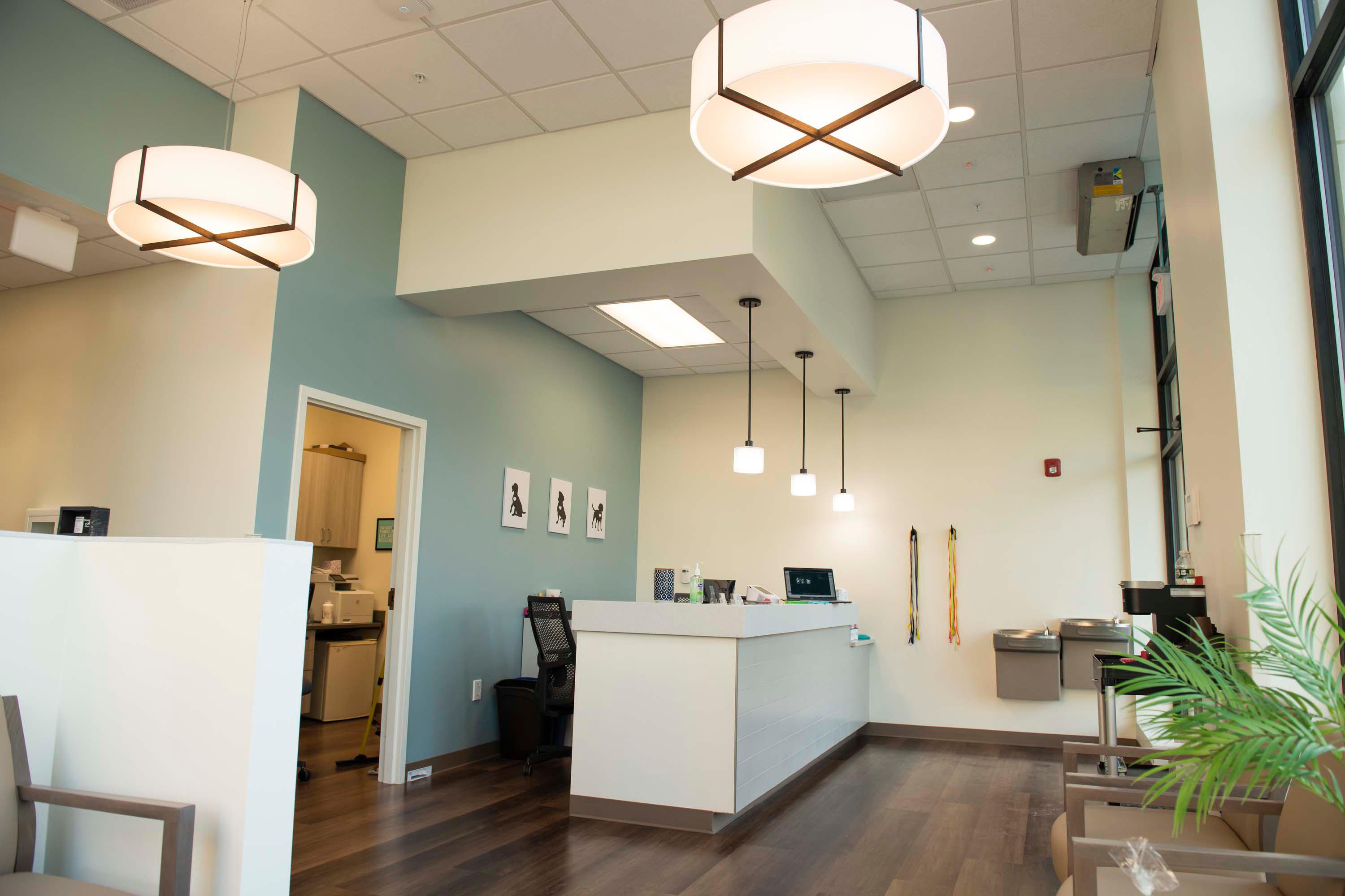 Harvester Veterinary Hospital's beautiful check-in and waiting area filled with lots of natural light and ample seating.