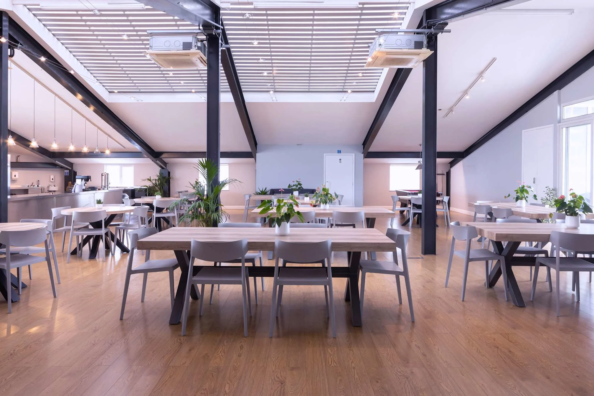 Images Malcolm Ryan Studios